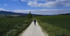 El Viaje de Regreso